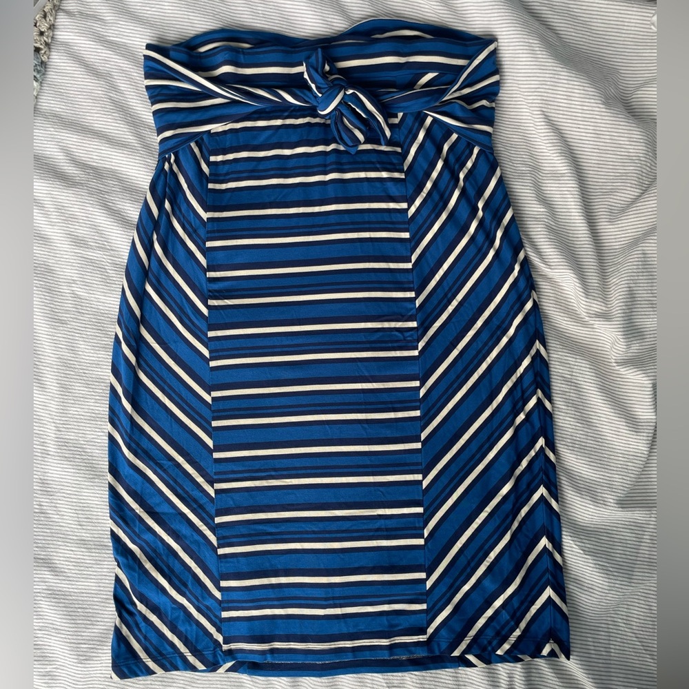 Anthropologie Lilka blue and white fitted midi skirt size XL